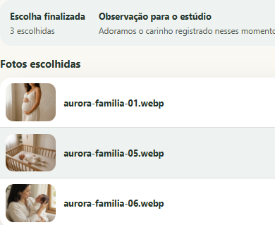 Recorte do resumo finalizado: fotografias escolhidas pela família no Fotivo.